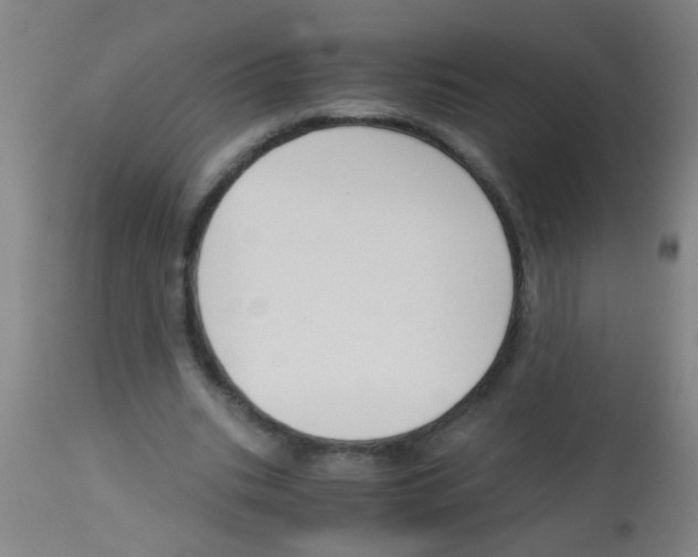 X0000113170535200910161310