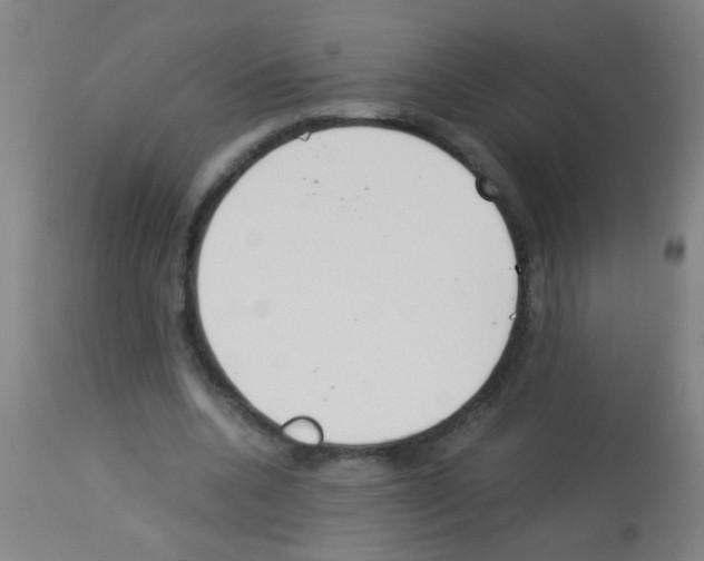 X0000113170536200910161310