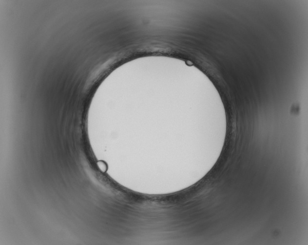 X0000113170538200910161310