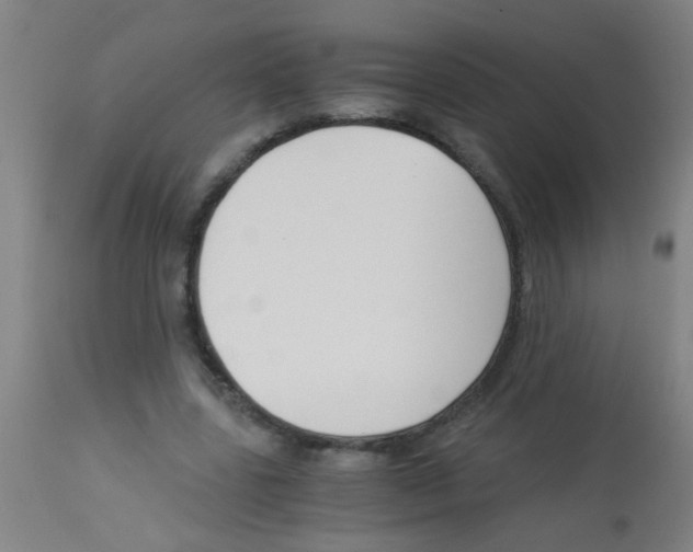 X0000113170539200910161310