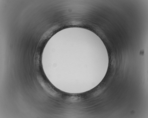 X0000113170542200910161310