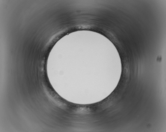 X0000113170543200910161310