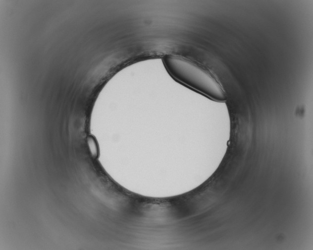 X0000113170548200910161310
