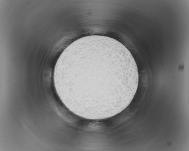 X0000113170550200910161310