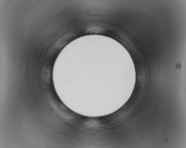 X0000113170551200910161310