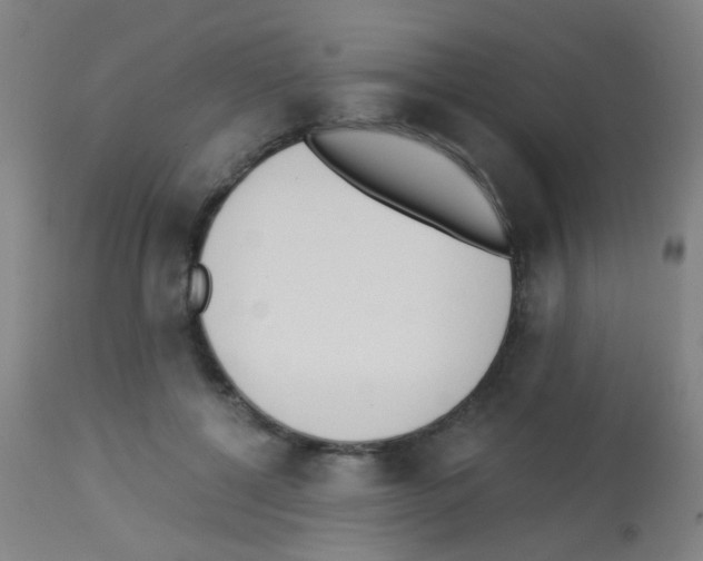 X0000113170552200910161310