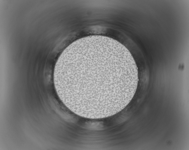 X0000113170553200910161310