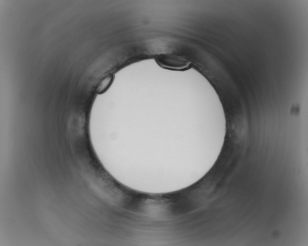 X0000113170556200910161310