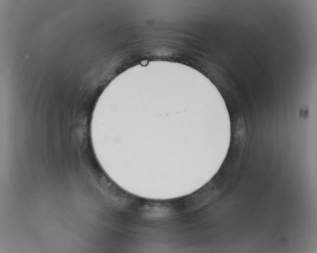 X0000113170559200910161310