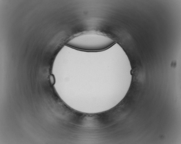 X0000113170560200910161310