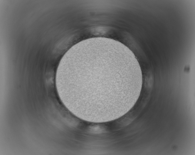 X0000113170561200910161310