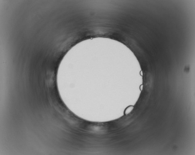 X0000113170563200910161310
