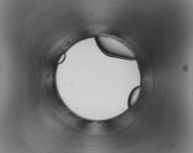 X0000113170566200910161310