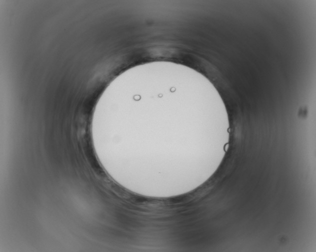 X0000113170567200910161310