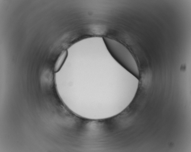 X0000113170568200910161310