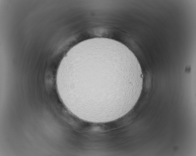 X0000113170569200910161310