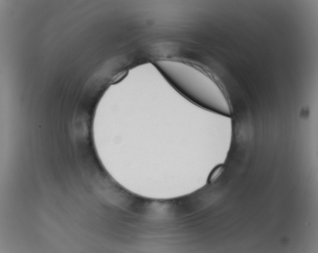 X0000113170570200910161310