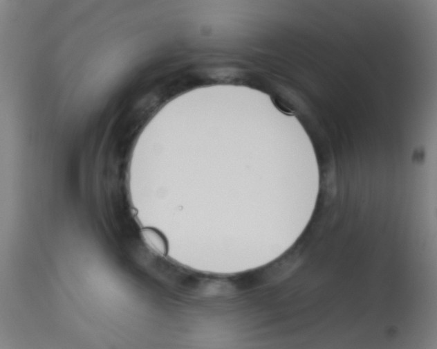 X0000113170572200910161310