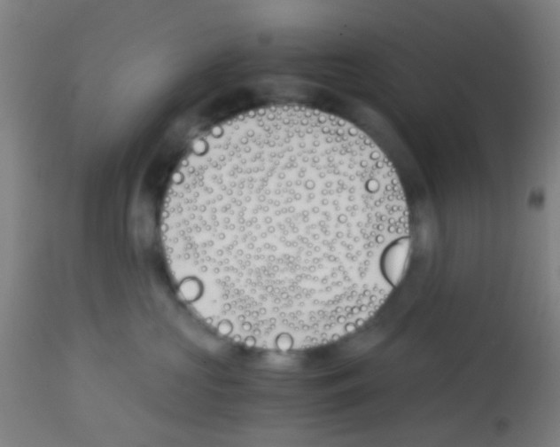 X0000113170573200910161310