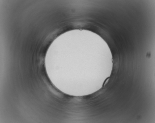 X0000113170574200910161310