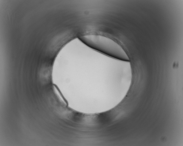 X0000113170576200910161310