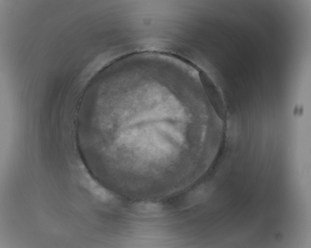 X0000113170577200910161310