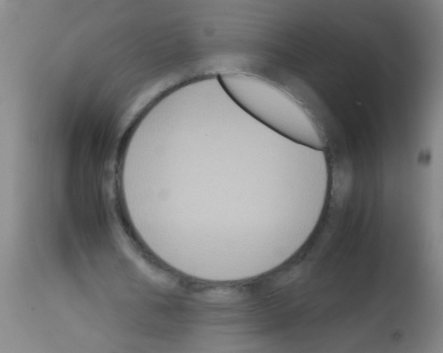X0000113170578200910161310