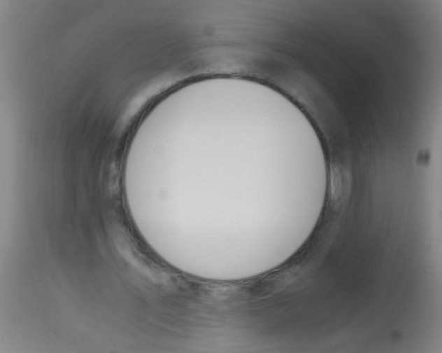X0000113170579200910161310