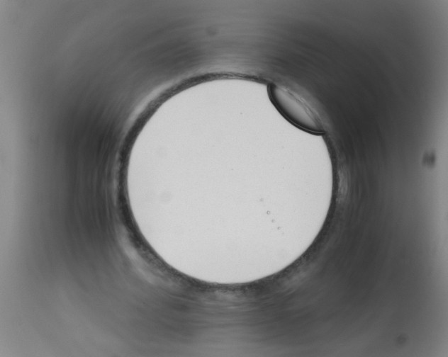 X0000113170580200910161310