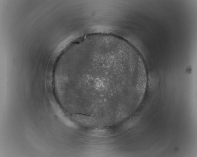 X0000113170581200910161309