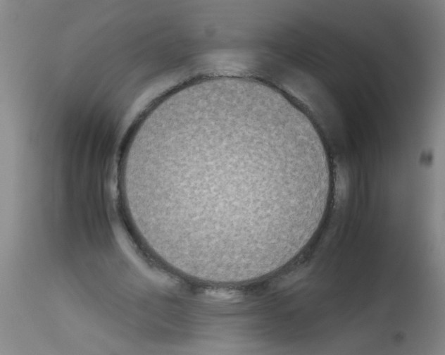 X0000113170582200910161309