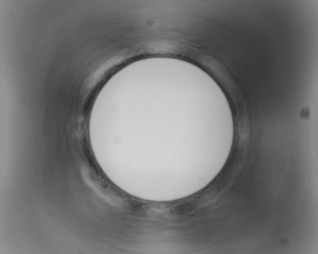 X0000113170583200910161309