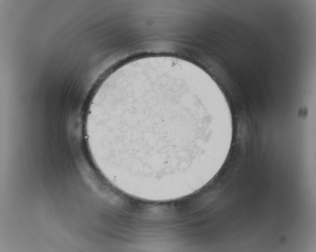 X0000113170584200910161309