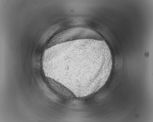 X0000113170585200910161309
