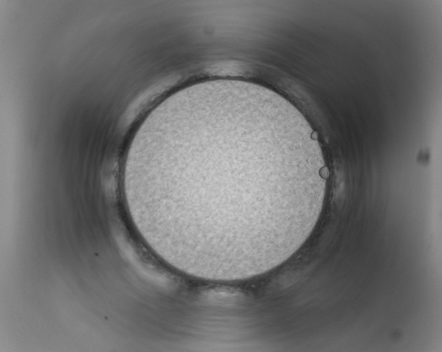 X0000113170586200910161309