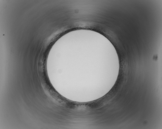 X0000113170587200910161309