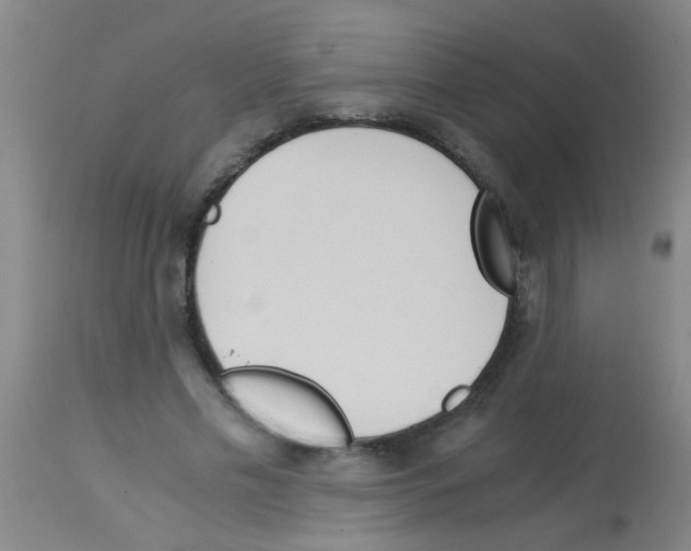 X0000113170589200910161309