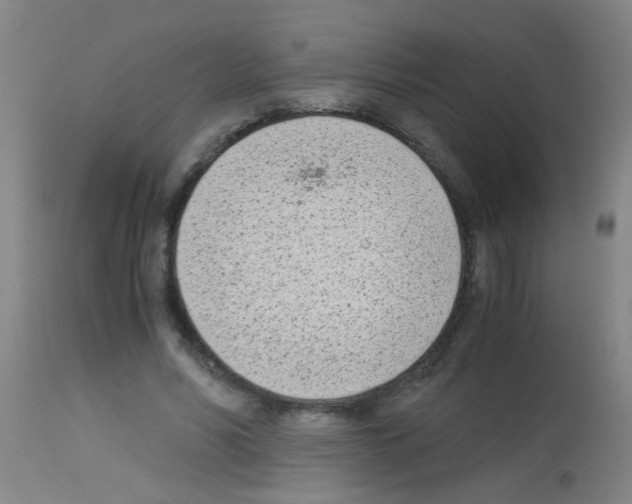 X0000113170590200910161309