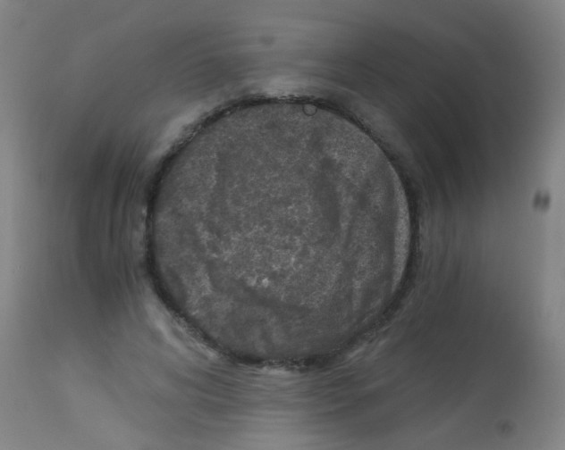 X0000113170592200910161309
