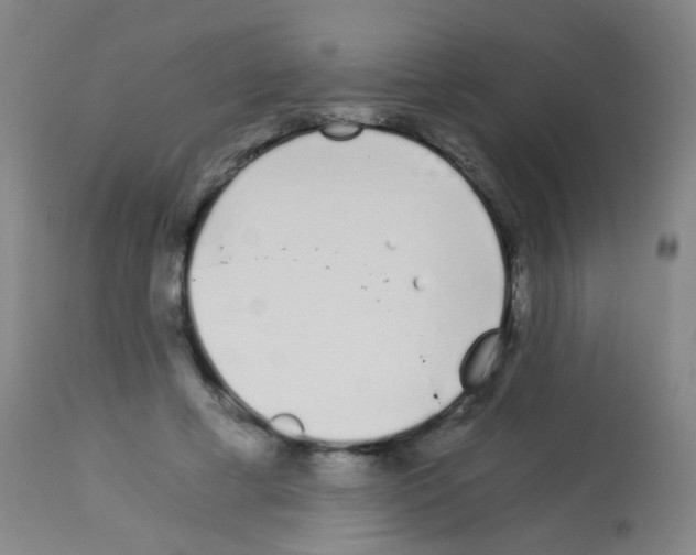 X0000113170593200910161309