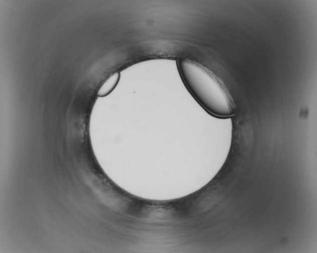X0000113170597200910161309