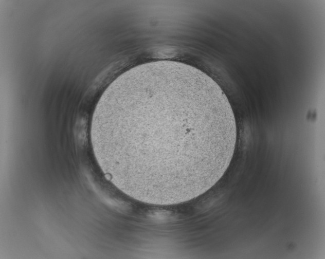 X0000113170598200910161309