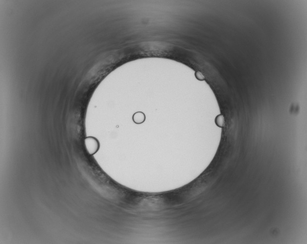 X0000113170599200910161309