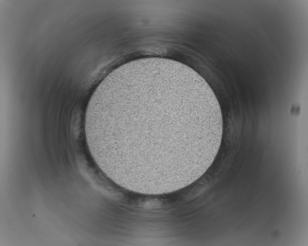 X0000113170600200910161309