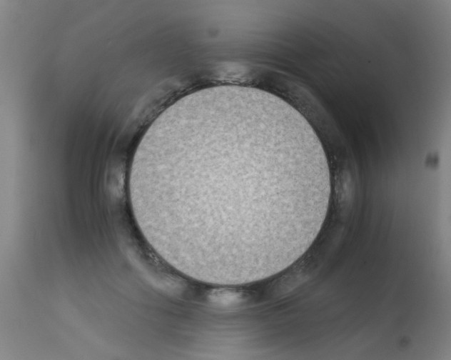 X0000113170602200910161309