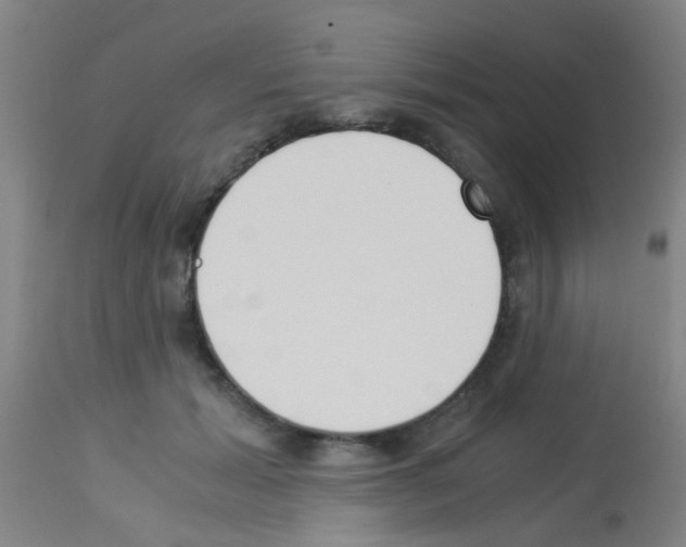 X0000113170605200910161309