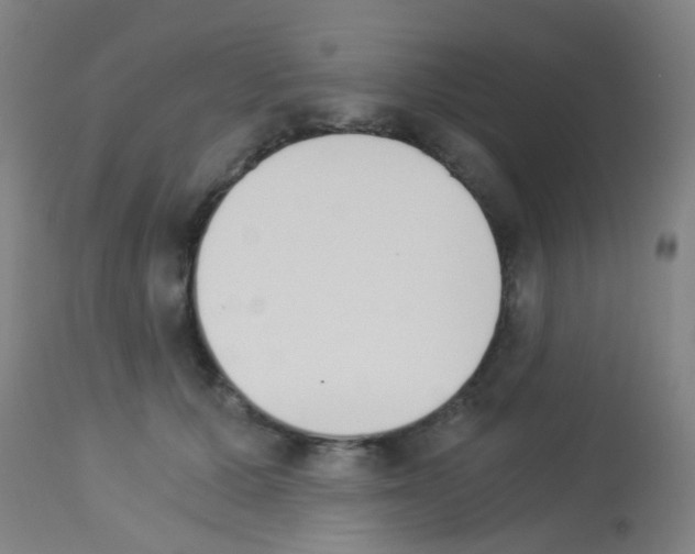 X0000113170607200910161309