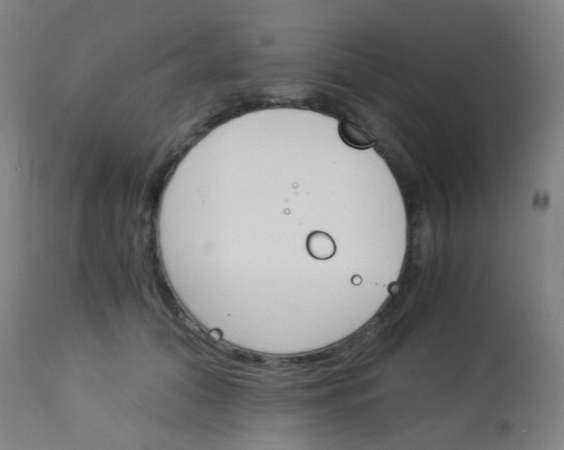 X0000113170608200910161309