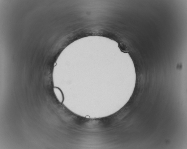X0000113170609200910161309