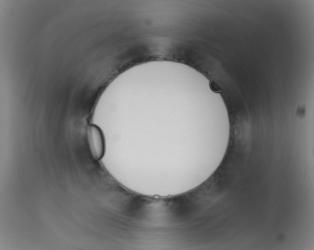X0000113170611200910161309